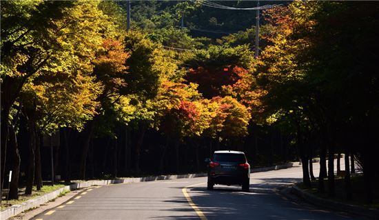 [여행만리]절에 왜 왔노, 최선을 다하면 되는기라~