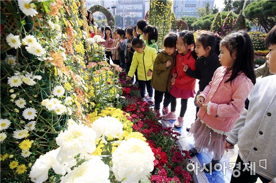 [포토]광주시 북구, 국화전시회 개최