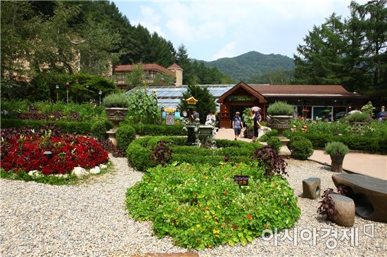 [한국 오는 평창올림픽 성화③]아리랑 무등도원 넘어 성화불꽃 필 무렵
