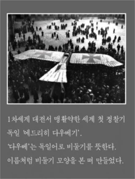 [군사이야기] 비둘기, 독수리 되다