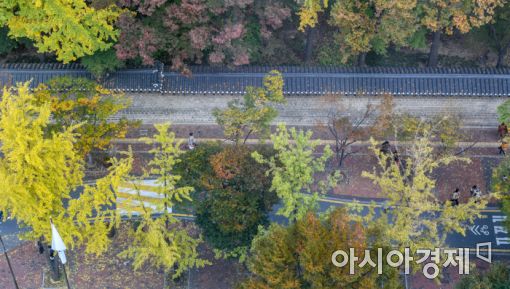 [포토]정동길에 찾아온 가을