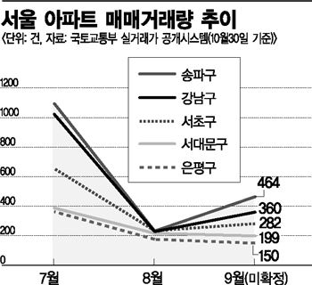 [결국 강남불패]강남 부동산, 돈 더 몰렸다(종합)