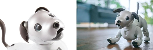 돌아온 '아이보'…AI이용해 주인 알아보고 감정 표현까지