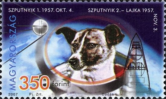 [인류사를 바꾼 犬]①사상 최초의 우주견 '라이카', 사망 60주년