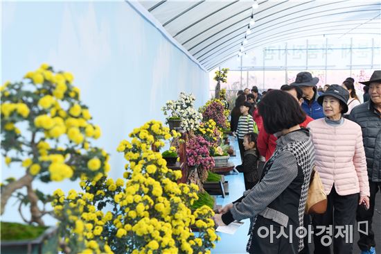 함평국향대전 24만명 다녀가~"역대 최초 입장료수입 8억원 돌파"