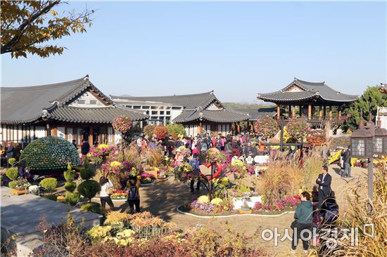 영암 월출산 국화축제로 오세요