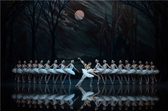 Swan Lake (C) Natasha Razina