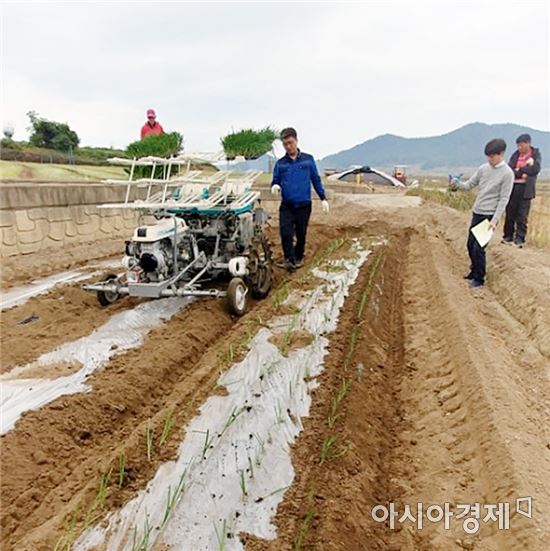 장흥군, 사람 10명 몫 하는 양파이식기 시연 ‘눈길’