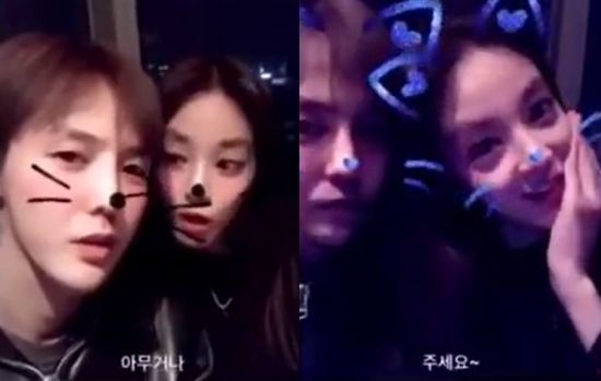 YG “지드래곤과 이주연 열애설은 사실무근”