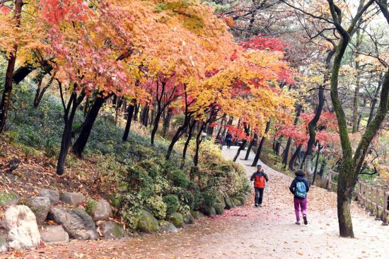 서울둘레길 2코스 내 아차산 관리사무소 부근 (사진=서울시 제공)