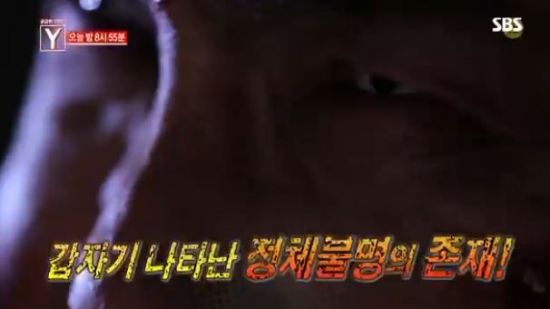 ‘부산행’ 좀비가 현실로? 서울 한복판에 출연한 ‘좀비 괴한’의 정체