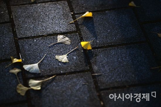 [포토]'가을 이별'
