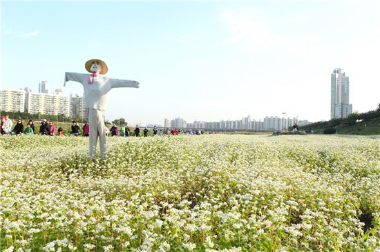 내년 안양천·도림천 더 푸르게 