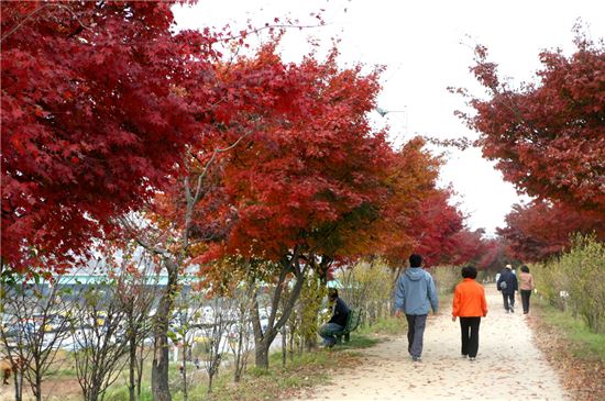 내년 안양천·도림천 더 푸르게 