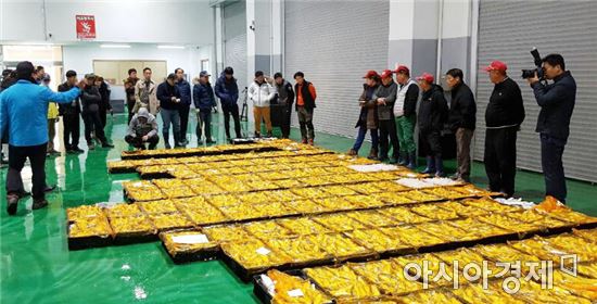영광군, 국내 최초 해상가두리 양식 참조기 출하