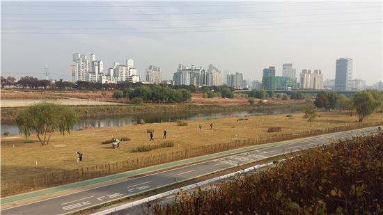 안양천 파크골프장 조성 