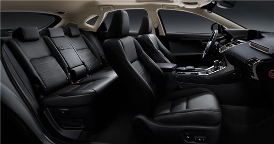 렉서스 뉴 NX300h