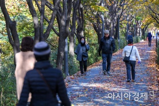 [포토]낙엽길 걷는 시민들
