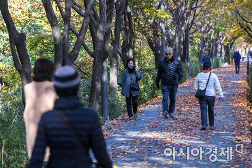 14일 서울 강남구 양재천에서 시민들이 떨어진 낙엽을 밟으며 가을의 정취를 만끽하고 있다./강진형 기자aymsdream@