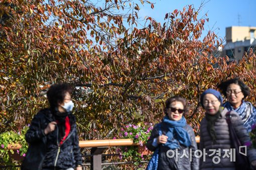 14일 서울 강남구 양재천에서 시민들이 마스크를 착용한채 단풍길을 거닐며 가을의 정취를 만끽하고 있다./강진형 기자aymsdream@