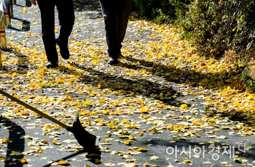 14일 서울 강남구 양재천에서 시민들이 떨어진 은행잎을 밟으며 가을의 정취를 만끽하고 있다./강진형 기자aymsdream@