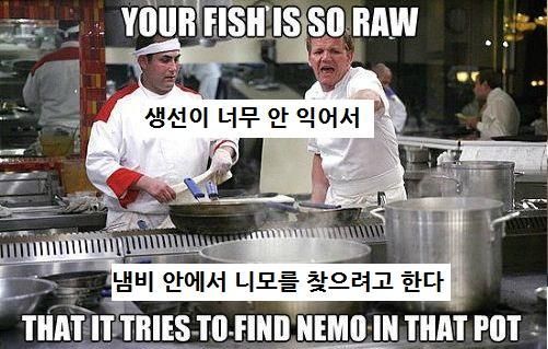 고든램지 독설 5가지 “닭고기가 너무 덜 익어서 수의사가 살려내겠어!!”