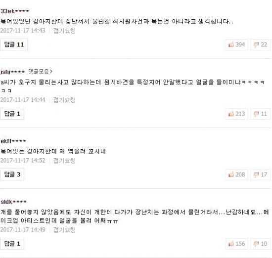 20대 여성 개물림 사고에 대한 네티즌 반응 / 사진=네이버 댓글 캡처
