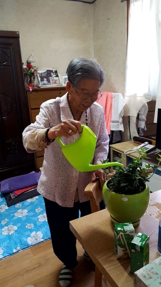 한 노인이 본인의 반려식물에 물을 주고 있다. (사진=서울시 제공)