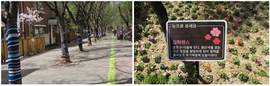 감각키움 숲길 (사진=서울시 제공)