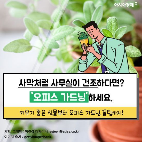 [카드뉴스]사무실이 건조하다면? '오피스 가드닝'으로 쾌적하게