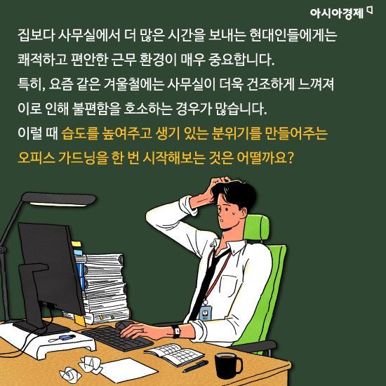 [카드뉴스]사무실이 건조하다면? '오피스 가드닝'으로 쾌적하게