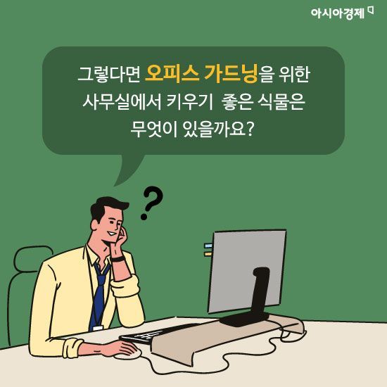[카드뉴스]사무실이 건조하다면? '오피스 가드닝'으로 쾌적하게