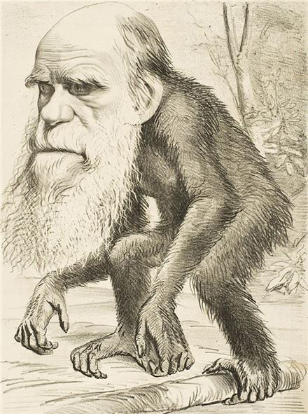 찰스 다윈의 '종의기원' 출간 이후 당시 영국 신문에 등장한 풍자화(사진=위키피디아) 