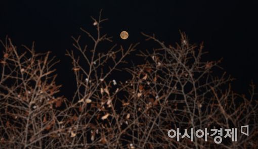 [포토]'안녕하세요 슈퍼문입니다'