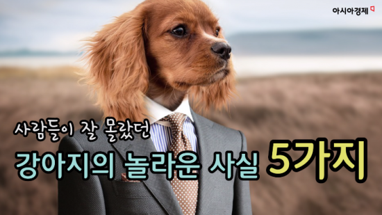 사람들이 잘 몰랐던 강아지의 놀라운 사실 5가지 (영상)