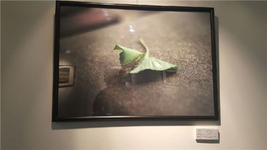 차성수 금천구청장 쓴 소리에 꿈 키운 최용준 학생 사연?