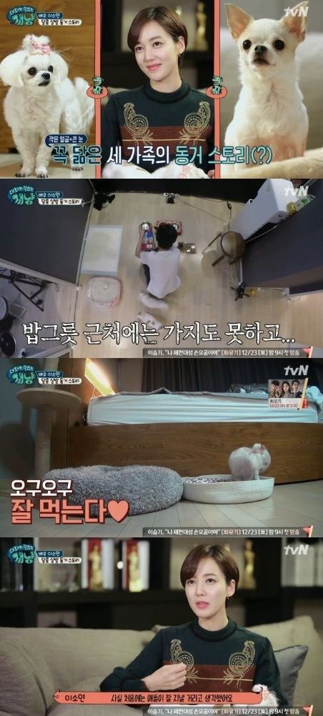 13일 방송된 tvN 예능 프로그램 ‘대화가 필요한 개냥’에서는 배우 이소연의 반려 동물들이 공개됐다./사진='대화가 필요한 개냥' 캡쳐