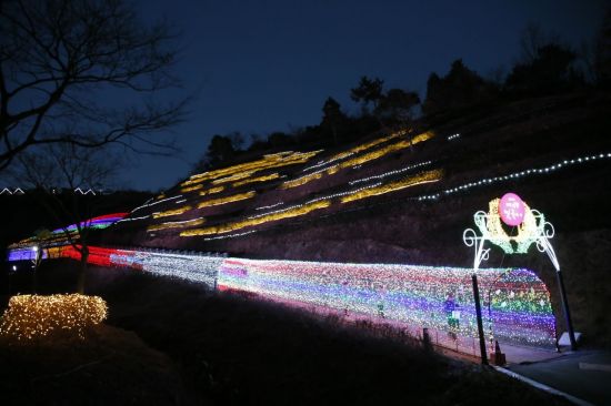 찬란한 빛의 향연 ‘제15회 보성차밭 빛축제’ 점등