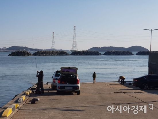 진두항 선착장에서 낚시를 하는 모습. (사진=이관주 기자)