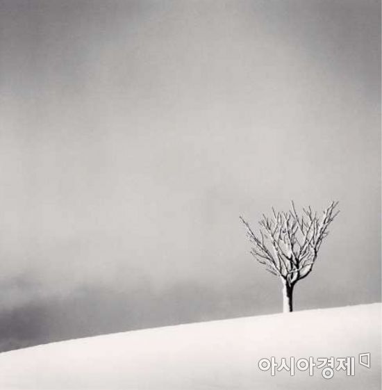 [김세영의 갤러리산책] 눈꽃, 여백, 흑백사진의 미학…세상을 보는 따뜻한 시선들
