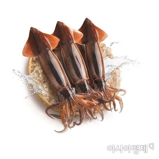 오징어(사진=아시아경제 DB)