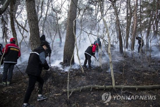 지난 12일 오후 울산시 북구 상안동의 한 야산에 불이 나 공무원 등이 잔불 제거 작업을 하고 있다. [이미지출처=연합뉴스]