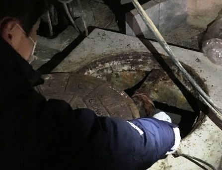 모기 유충 겨울에 잡는다