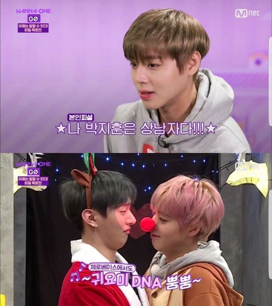 [아.입.뽀]⑨ 美 빌보드 선정 2017 최고 신인, 워너원 박지훈 #윙깅이 단짠 매력 ‘내 마음속에 저장’