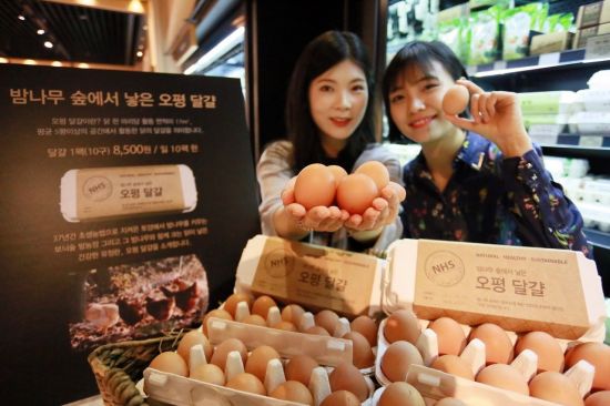 갤러리아백화점, '오평 달걀' 하루 10팩 한정판매