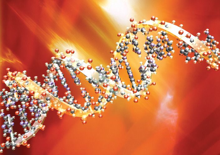 시험연구용 유전자변형생물체 안전 관리 교육 강화