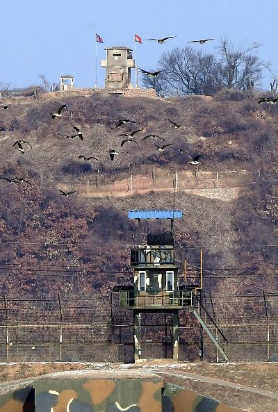 軍, 중서부전선서 MDL넘어 남하 北 민간인 남성 1명 신병확보(종합)