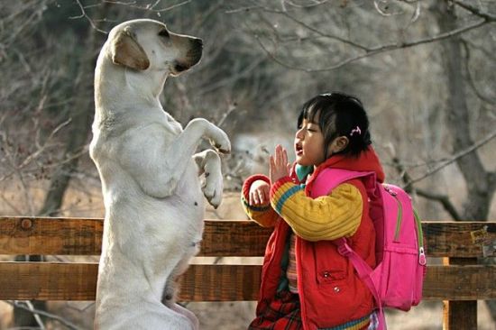 [이종길의 영화읽기]犬犬犬…공존과 동행의 연장선