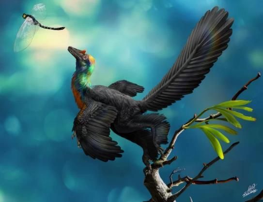 중국서 세계에서 가장 아름다운 ‘무지개 공룡’ 발견