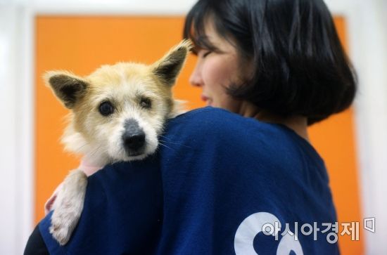 서울 초등학생, 새 학기부터 '동물복지' 배운다